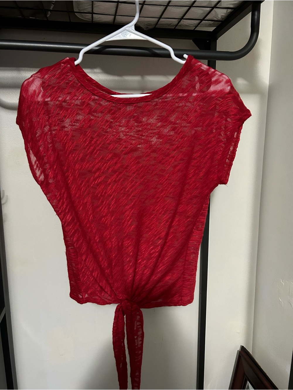 Discreet Red Sheer Tie-Front Crop Top